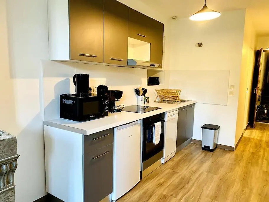 L'Appart De La Comedie-Centre Apartment Bourg-en-Bresse France